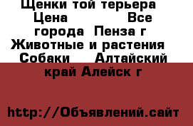 Щенки той терьера › Цена ­ 10 000 - Все города, Пенза г. Животные и растения » Собаки   . Алтайский край,Алейск г.